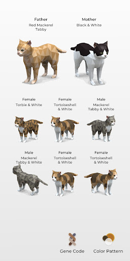 Cat Color Patterns Screen 2