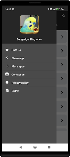 Budgerigar Ringtones screenshot 3