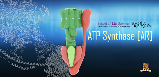 ATP Synthase [AR]
