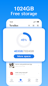 Terabox APK v3.5.7 MOD (Premium, Mega Mod) Gallery 1