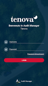 Audit Manager - Tenova