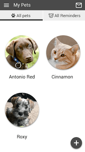 Hub City Vet Screen 3