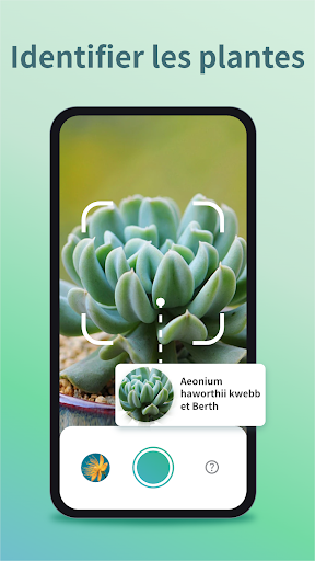 Aperçu de l'application