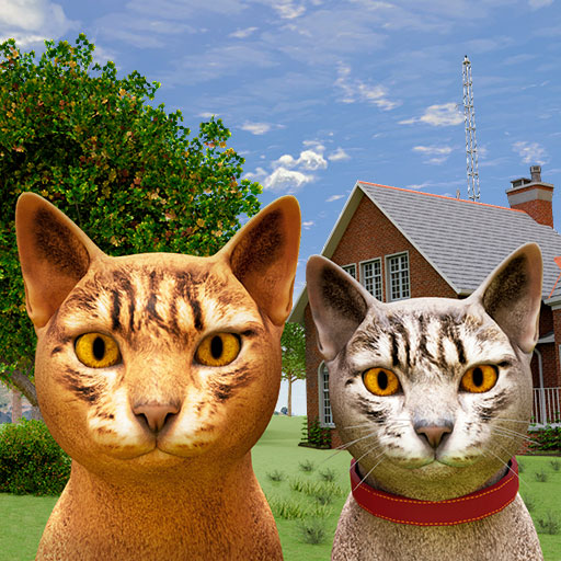 Cat Simulator Kitten 3D Games