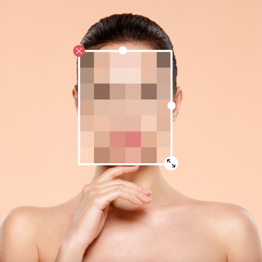 Blur or Pixelate Video Editor logo
