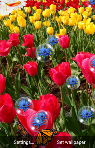 Android application Spring Live Wallpaper screenshort