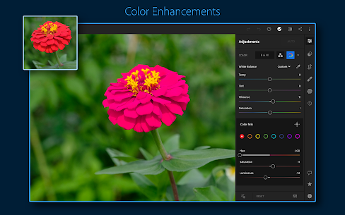 Lightroom Photo & Video Editor 11