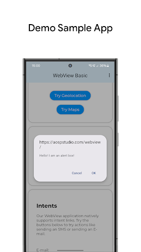 WebView Basic Template Screen 3