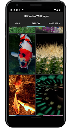 Sea Turtle. Live wallpaper. Screen 3