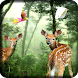 Rain Forest Live Wallpaper - Androidアプリ