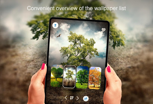 Trees offline wallpapers