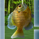 Cover Image of Download Fishing 3D  APK