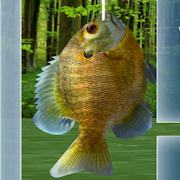 Top 20 Simulation Apps Like Fishing 3D - Best Alternatives