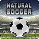 Natural Soccer - Arcade Fußball-Spiel