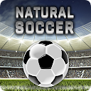 Natural Soccer - Arcade Fußbal