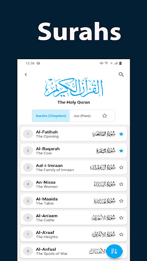 HOLY QURAN - القرآن الكريم‎ screenshot 12