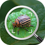 Cover Image of ダウンロード Insect identification: Bug identifier - Bug finder 1.0 APK