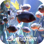 Cover Image of ดาวน์โหลด Aquarium Video Live Wallpaper  APK