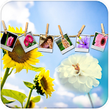Cool Instant Photo frames icon