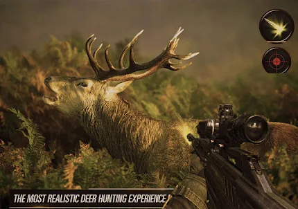 Deer Hunting Shooting Game