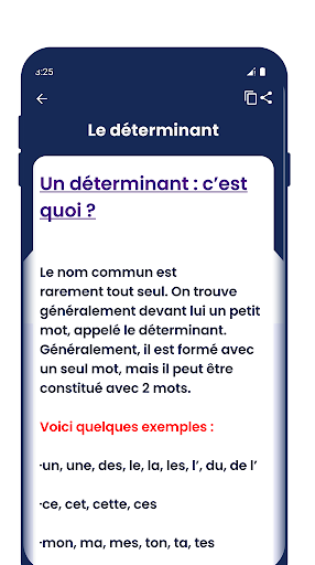 Grammaire Française Screen 3