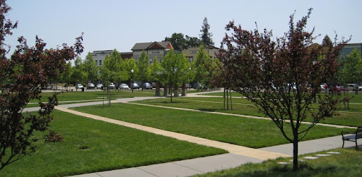 Town Square - Events for You