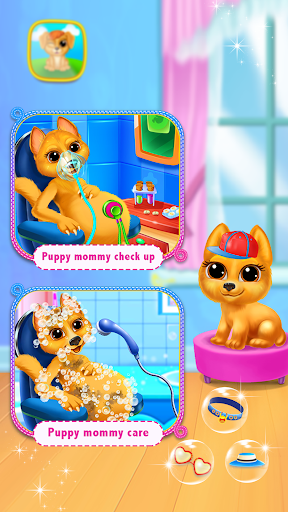 Pet Newborn Game 2