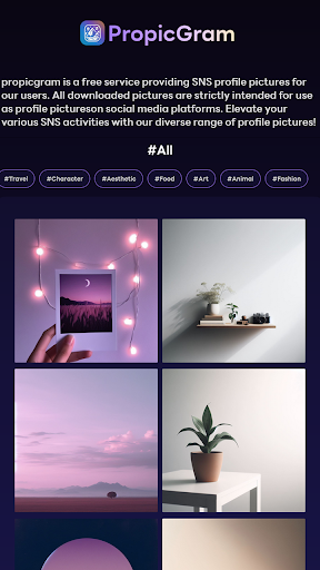 propicgram Screen 3