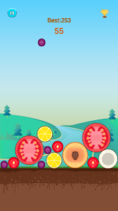 Watermelon Puzzle：Casual game