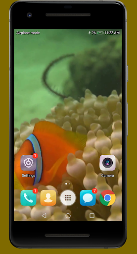 Android application 4K Coral Reef Video Wallpaper screenshort