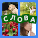 4 фото 1 слово на русском ч.2 - Androidアプリ