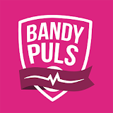 Bandypuls.se icon
