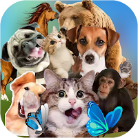 Animal Stickers Packs - WAStickersApp