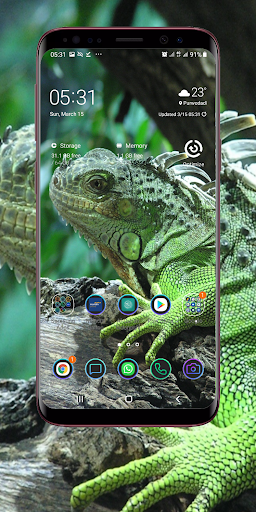 Lizard Wallpaper