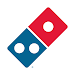 Domino's Pizza USA Icon