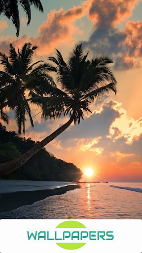 Wallpaper Sunset HD Screen 3