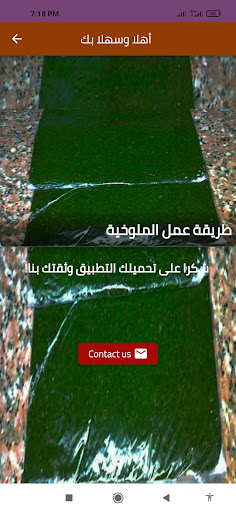 طريقه عمل الملوخيه الخضراء