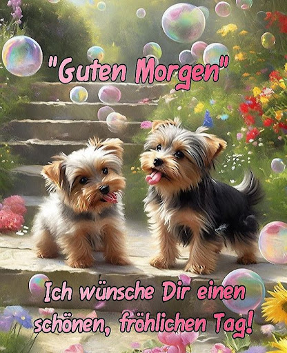 Android application Guten Tag Bilder 2024 screenshort