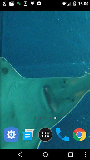 stingray wallpaper Screen 2