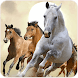 馬の壁紙 - Androidアプリ
