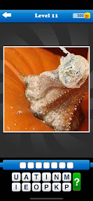 Guess the Close Up Pics Quiz screenshot