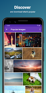 500px تنزيل مصحح APK 3