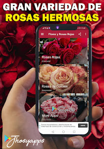 Screenshot 1 Flores y Rosas Rojas imágenes  android