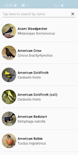 ChirpOMatic - Birdsong USA Capture d'écran