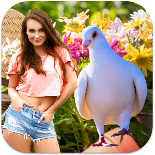Pigeon Photo Frames logo