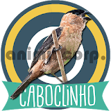 Canto de Caboclinho New icon