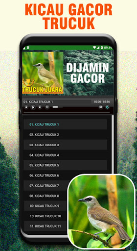Kicau Trucukan Gacor Nasional Screen 2