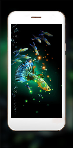 Neon Aquarium Fishes