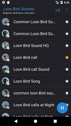 Loon Bird Sounds Screen 2