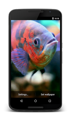 Aquarium 3D Video Wallpaper Screenshot 1